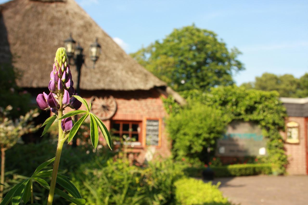 Groß Grönau Landhaus Absalonshorst酒店 外观 照片
